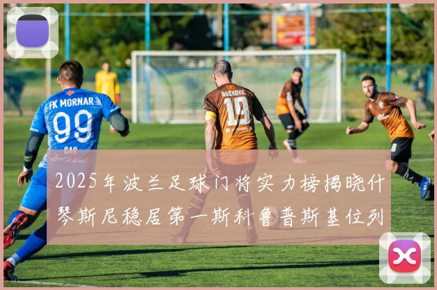 2025年波兰足球门将实力榜揭晓什琴斯尼稳居第一斯科鲁普斯基位列第三