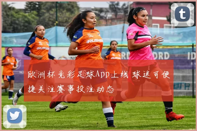 欧洲杯竞彩足球App上线 球迷可便捷关注赛事投注动态