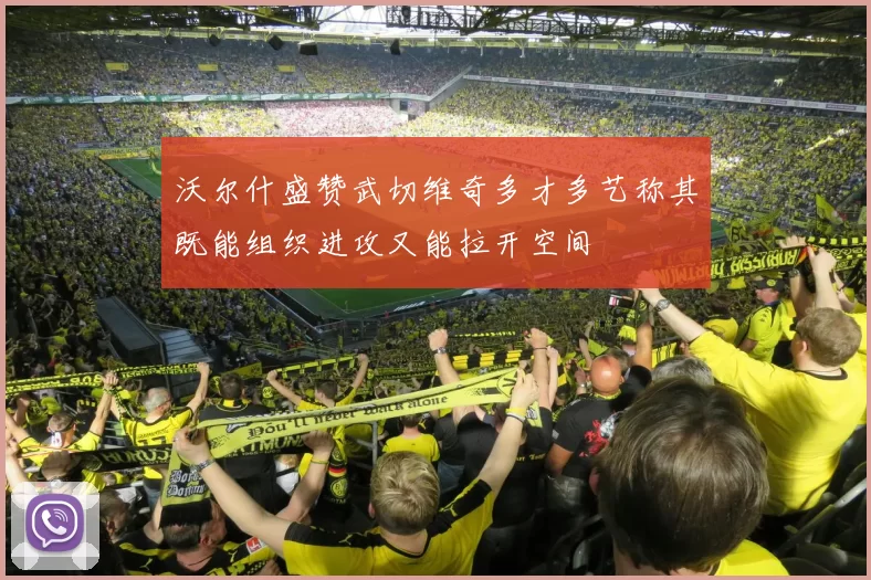 沃尔什盛赞武切维奇多才多艺称其既能组织进攻又能拉开空间
