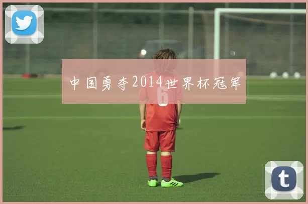 中国勇夺2014世界杯冠军