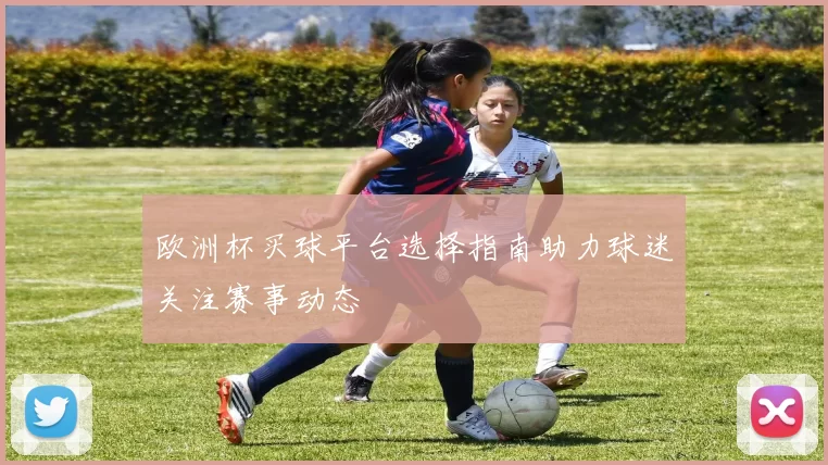 欧洲杯买球平台选择指南助力球迷关注赛事动态