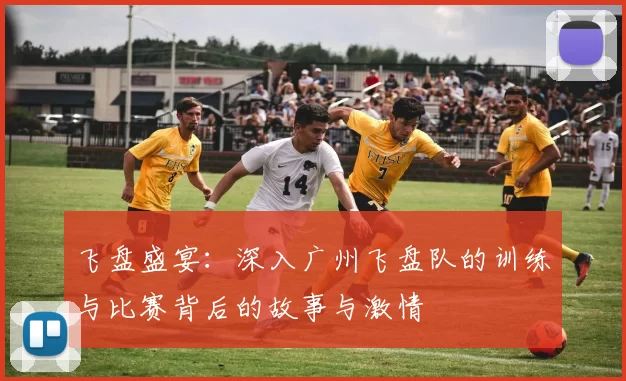飞盘盛宴：深入广州飞盘队的训练与比赛背后的故事与激情