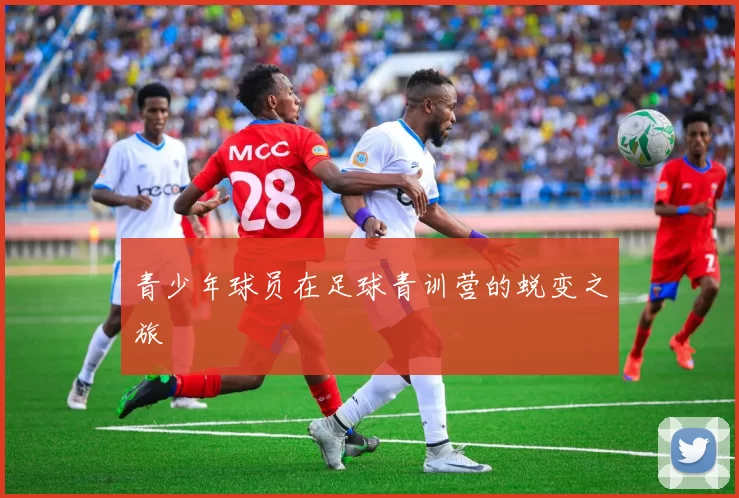 青少年球员在足球青训营的蜕变之旅