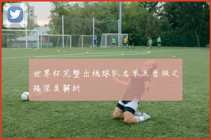 世界杯完整出线球队名单及晋级之路深度解析