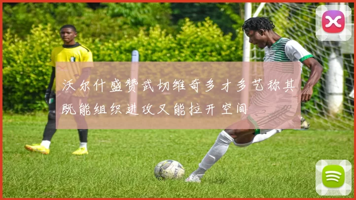 沃尔什盛赞武切维奇多才多艺称其既能组织进攻又能拉开空间