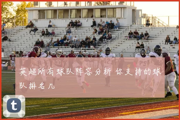 英超所有球队阵容分析 你支持的球队排名几