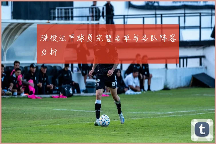 现役法甲球员完整名单与各队阵容分析