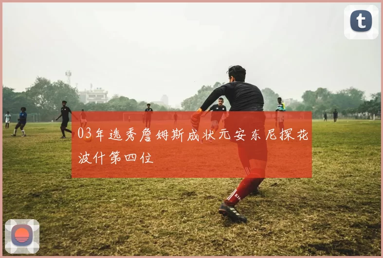 03年选秀詹姆斯成状元安东尼探花波什第四位