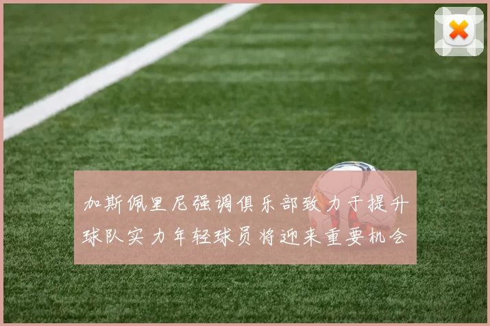 加斯佩里尼强调俱乐部致力于提升球队实力年轻球员将迎来重要机会
