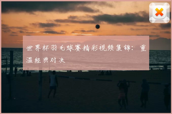 世界杯羽毛球赛精彩视频集锦：重温经典对决