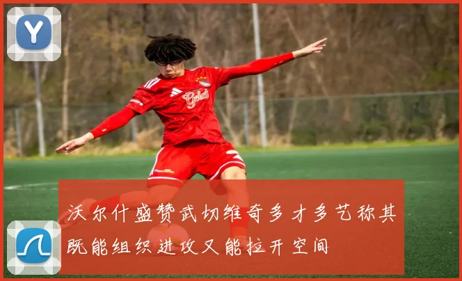 沃尔什盛赞武切维奇多才多艺称其既能组织进攻又能拉开空间