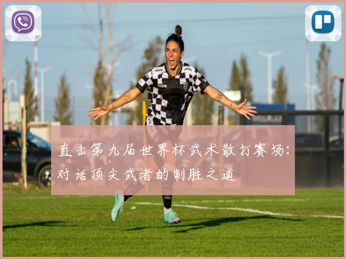 直击第九届世界杯武术散打赛场:对话顶尖武者的制胜之道