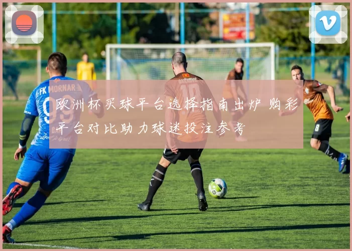 欧洲杯买球平台选择指南出炉 购彩平台对比助力球迷投注参考