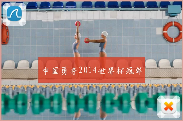 中国勇夺2014世界杯冠军