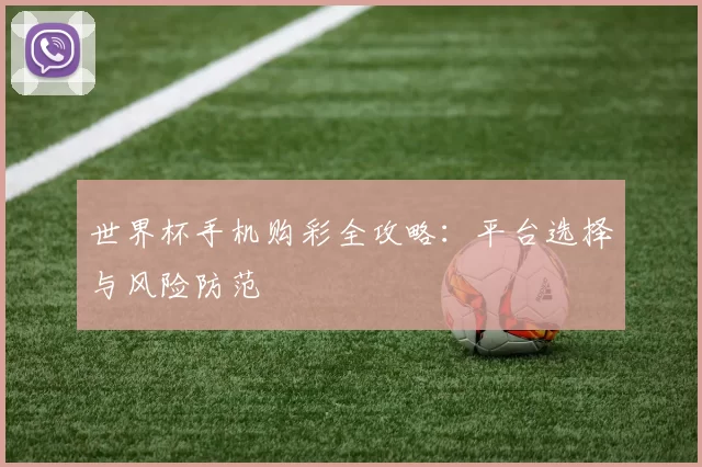 世界杯手机购彩全攻略:平台选择与风险防范
